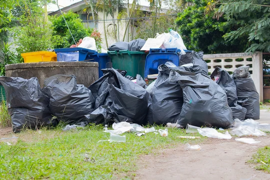 Why Morristown Residents Need Professional Junk Removal