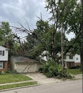 Understanding Land Clearing for Tuckerton Properties