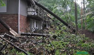 Why Lacey Township Sees So Many Tree Emergencies