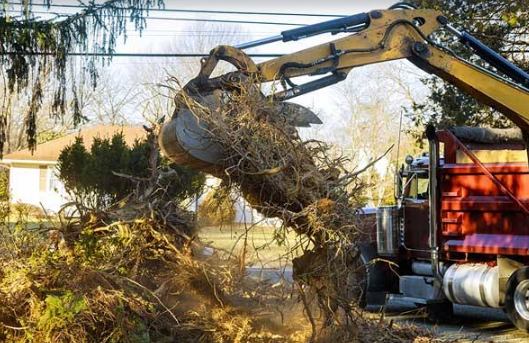 Signs Your Property May Be Ready for Clearing